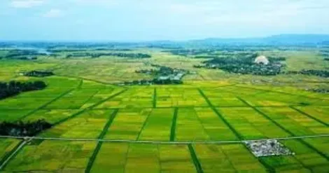 Ðề nghị tiếp tục miễn thuế sử dụng đất nông nghiệp đến hết năm 2030