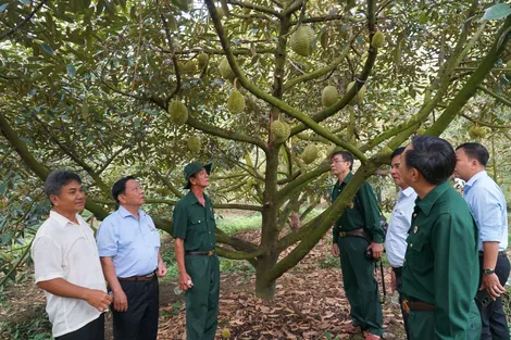Hội Cựu chiến binh TP Cần Thơ tổ chức hội nghị đầu bờ năm 2025