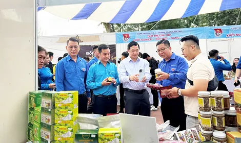 Đồng hành cùng thanh niên khởi nghiệp