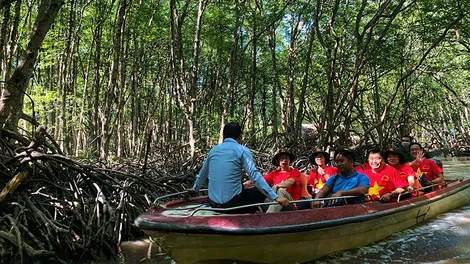 Tour nội địa thu hút du khách