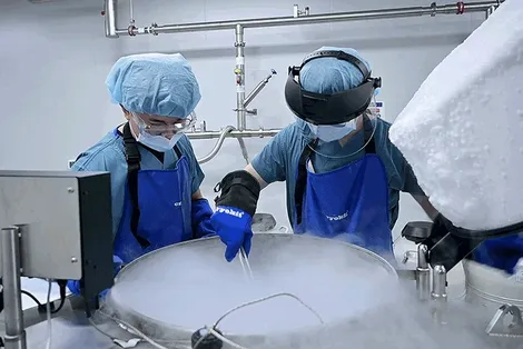 Thế hệ Y, Z đang làm giảm tỷ lệ sinh trên thế giới