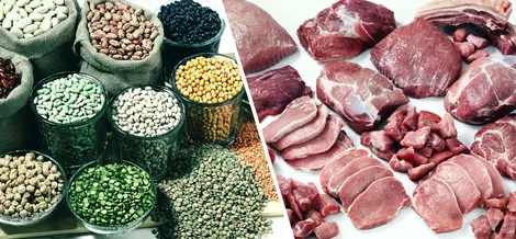 Nên chọn đạm thực vật hay động vật để kéo dài tuổi thọ?