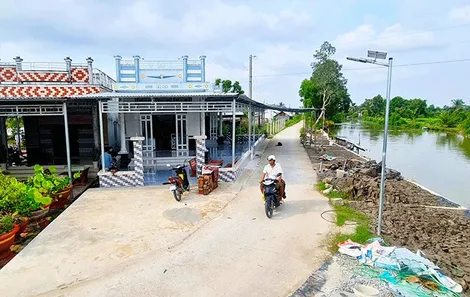 Đất rừng hồi sinh