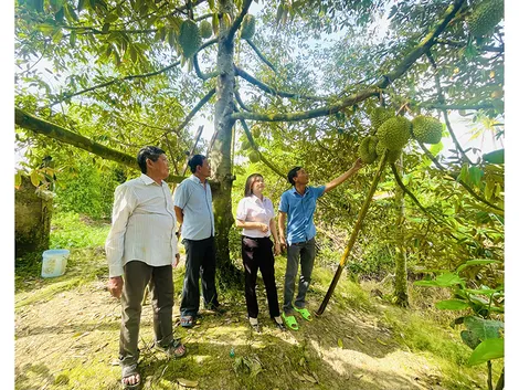 Hỗ trợ nhân dân phát triển sản xuất