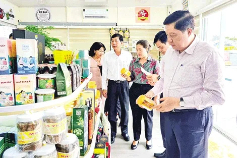 Tăng trưởng kinh tế ổn định trong những tháng đầu năm