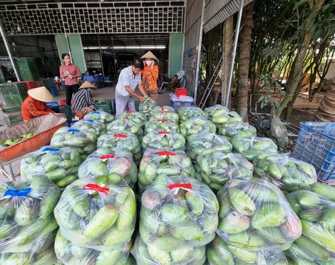 Dạo quanh thị trường
