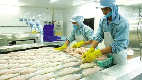 Kiến tạo môi trường kinh doanh để hỗ trợ doanh nghiệp