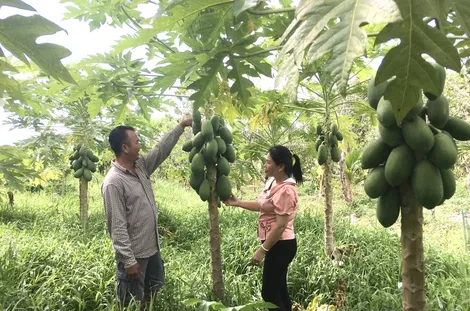 Đáp ứng nhu cầu tạo việc làm, tăng thu nhập