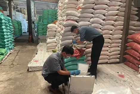 Làm rõ vụ gạo bất thường nghi là gạo giả ở Hậu Giang
