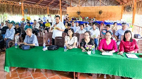 Tăng cường chuỗi liên kết sản xuất và tiêu thụ sản phẩm nhãn