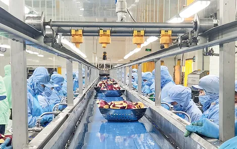 Cần Thơ ban hành kế hoạch phát triển thị trường nông lâm thủy sản năm 2025