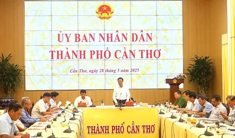 Triển khai giải pháp phòng, chống buôn lậu, gian lận thương mại và hàng giả