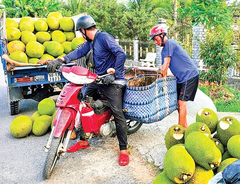 Dạo quanh thị trường