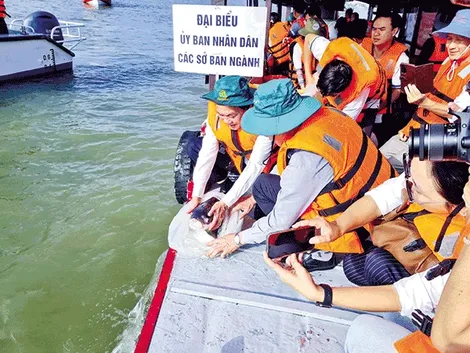 Nỗ lực tái tạo và bảo vệ nguồn lợi thủy sản
