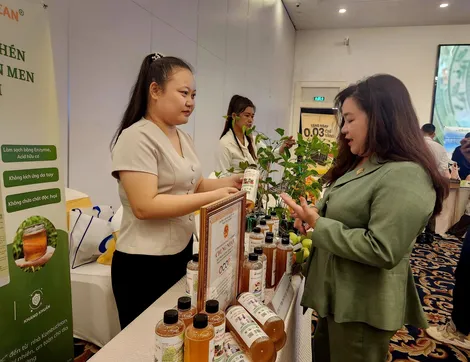 Cả nước có hơn 15.100 doanh nghiệp thành lập mới trong tháng 5-2025