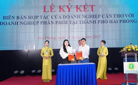 Ngày hội kết nối, tiêu thụ sản phẩm sầu riêng Cần Thơ tại Hải Phòng