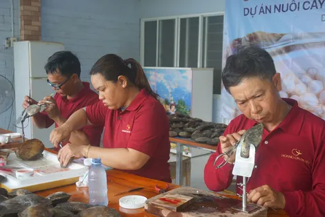 Khát vọng ngọc trai trên đất Sen hồng