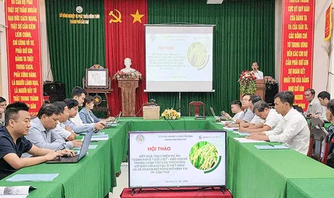 Thúc đẩy áp dụng phương pháp tưới ướt khô xen kẽ trong canh tác lúa