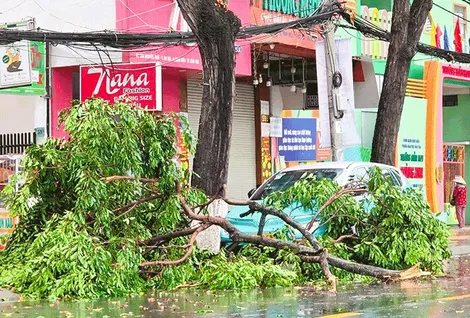 Ðề phòng mưa giông gây nguy hiểm, ảnh hưởng tính mạng, tài sản người dân