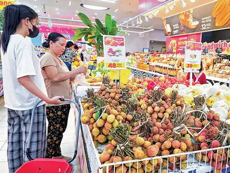 Nguồn cung dồi dào, giá nhiều loại trái cây giảm mạnh