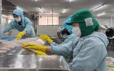 Doanh nghiệp lĩnh vực nông, lâm, thủy sản lưu ý kê khai, hoàn thuế giá trị gia tăng