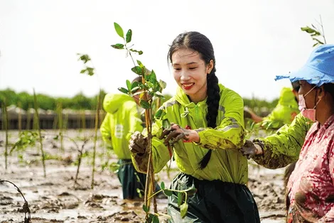 Huy động nguồn tài chính xanh ứng phó với biến đổi khí hậu