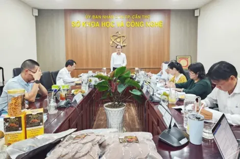 Thành lập Trung tâm Khởi nghiệp và Đổi mới sáng tạo TP Cần Thơ