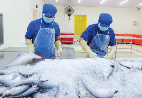 Cái Răng:  Cải thiện môi trường đầu tư, hỗ trợ doanh nghiệp tháo gỡ khó khăn