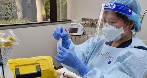Các nhà khoa học Úc đạt kết quả ban đầu trong điều trị ung thư