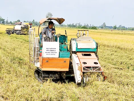 Hỗ trợ phát triển sinh kế bền vững cho người dân vùng ĐBSCL