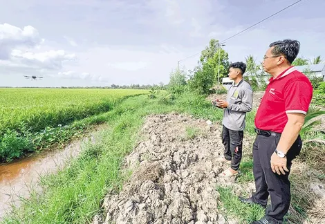 Tái khởi động bảo hiểm nông nghiệp theo chuỗi giá trị ngành hàng