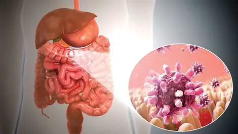 Virus đường ruột ảnh hưởng đến tình trạng sức khỏe của chúng ta ra sao?