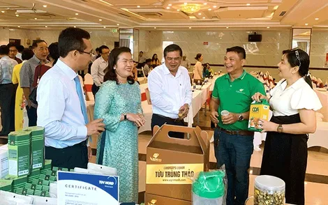 Chú trọng xây dựng du lịch đặc trưng trong không gian du lịch mới