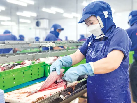 Tận dụng thời điểm vàng, đẩy mạnh xuất khẩu vào thị trường Nhật Bản