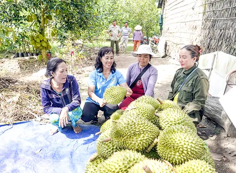 Chi hội trưởng gương mẫu, năng động