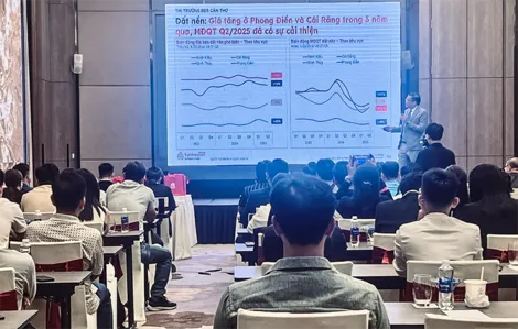 Am hiểu thị trường bất động sản Cần Thơ và nhu cầu khách hàng để có hướng tiếp cận phù hợp