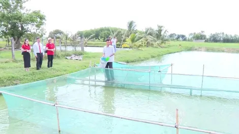 Agribank Chi nhánh Bắc Long An (Tây Ninh): Đồng hành phát triển kinh tế vùng biên giới