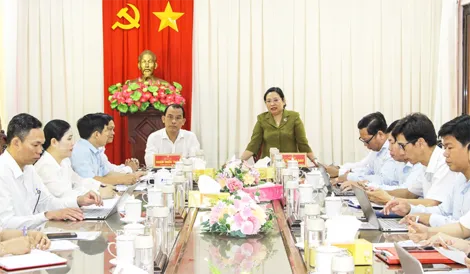 Lãnh đạo thành phố làm việc với phường Long Mỹ