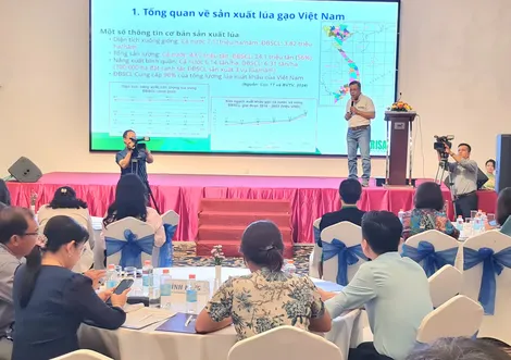 Chia sẻ kinh nghiệm thực hiện “Mô hình sản xuất lúa chất lượng cao giảm phát thải phục vụ Đề án phát triển bền vững một triệu héc-ta vùng ĐBSCL”