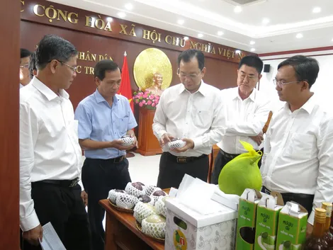 Đảm bảo tiêu chuẩn chất lượng trái vú sữa phục vụ thị trường xuất khẩu