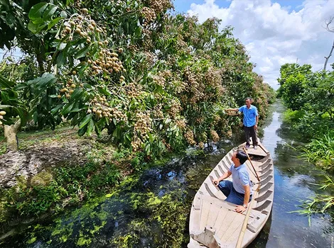 Lấy ý kiến góp ý cho Đề án sản xuất trồng trọt giảm phát thải