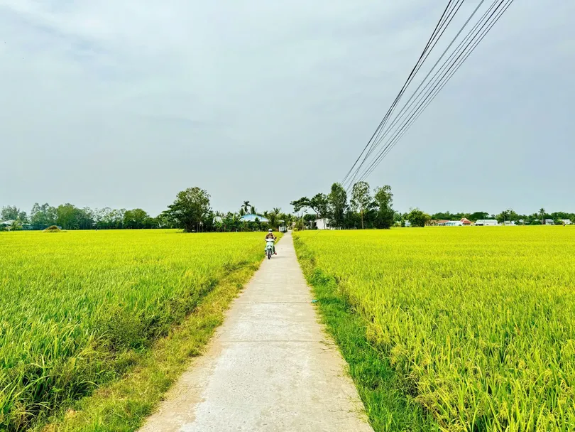 Xã Mỹ Hương khát vọng vươn mình trong nhiệm kỳ mới