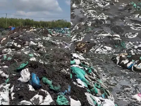 Phát hiện công ty sản xuất đất sạch tiếp nhận chất thải công nghiệp gây ô nhiễm môi trường