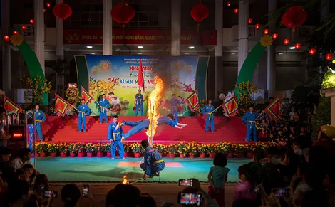 Vovinam vươn ra thế giới