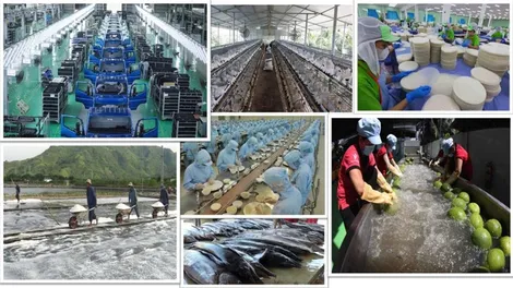 Kinh tế tư nhân là một động lực quan trọng nhất - Quan điểm đúng đắn, sáng tạo của Đảng ta
