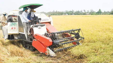 Vùng đất anh hùng chuyển mình trong kỷ nguyên mới