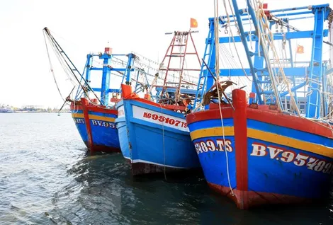 Khắc phục 'thẻ vàng' IUU: Đồng Tháp không còn vi phạm nhờ tuyên truyền, giám sát đồng bộ