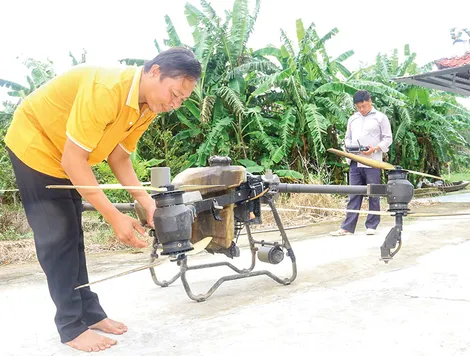 Làm giàu từ hợp tác xã nông nghiệp hiện đại