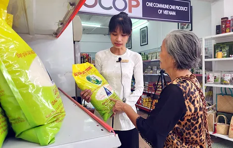 Đẩy mạnh xây dựng nông thôn mới, phát triển kinh tế nông thôn
