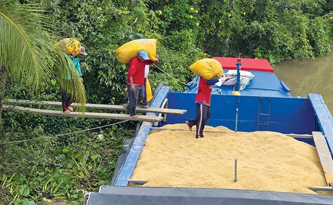 Dạo quanh thị trường 20-8